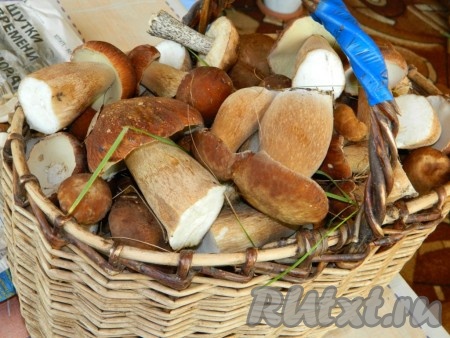 Для приготовления этого салата у меня были лесные грибы, только собранные в лесу. Их нужно, как обычно, почистить, помыть, полностью залить водой и отправить на огонь, а после закипания варить на небольшом огне в течение 25-30 минут. Отваренные грибы выложить в дуршлаг, дать стечь воде, а после этого нарезать на средние кусочки (мелко нарезать не нужно).
