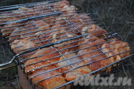 Выкладываем куски свинины на решётку-гриль (чтобы мясо не пристало, можно решётку немного смазать растительным маслом). Жарим мясо на седых углях до образования аппетитной румяной корочки, не забывая периодически решётку переворачивать. Примерное время приготовления шашлыка 20-25 минут.