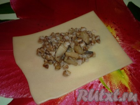 На середину квадрата положить по 1 чайной ложке  начинки 