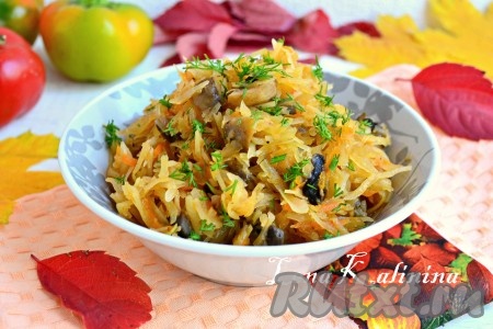 Капустная солянка с грибами