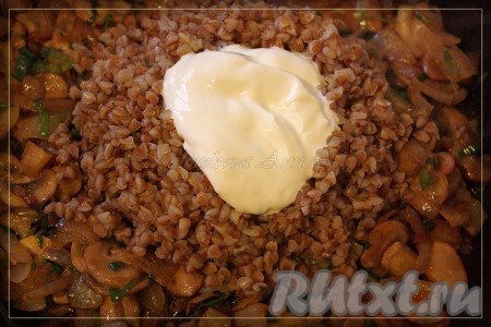 Смешать гречку с грибами, добавить сметану и соль (специи). Перемешать
