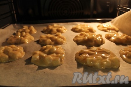 6. На противень, застеленный пергаментной бумагой, выкладывать тесто чайной ложкой. Выпекать 10-12 минут в разогретой духовке при температуре 180 градусов.
