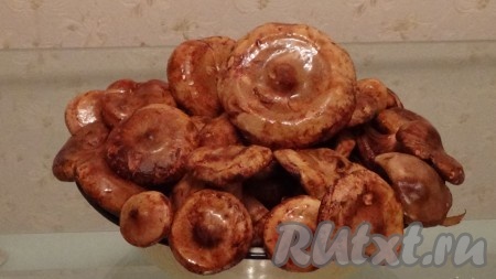 Сегодня я решила сделать грибную икру из коровников. Некоторые грибники коровники и за грибы-то не считают, а напрасно, они очень вкусные. Просто надо уметь их готовить. Хотя грибную икру можно приготовить из любых грибов, которые вкусны жареными.
