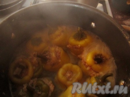Налейте в кастрюлю воду или бульон так, чтобы перцы были покрыты на 2/3 высоты. Посолите по вкусу. Тушите фаршированные перцы 25-30 минут под крышкой на небольшом огне. Перед самой готовностью на Ваше усмотрение можно добавить 3-4 столовые ложки сметаны или сметанного соуса.
