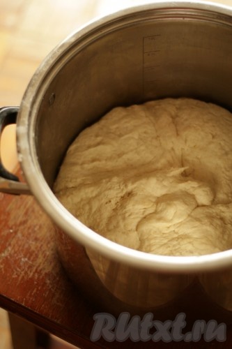Частями добавляя оставшуюся просеянную муку, хорошо вымесить тесто (вымешивать его нужно не менее 7 минут). Добавляя муку, учитывайте, что дрожжевое тесто должно получиться мягким, не липнущим к ладоням. Муки может потребоваться как больше, чем указано в ингредиентах, так и меньше, обязательно ориентируйтесь на консистенцию замешиваемого теста. В конце замеса добавить растительное масло, тщательно вмешать его в тесто. Кастрюлю с тестом прикрыть полотенцем и поставить в тёплое место минут на 40 (до увеличения в объёме в 2-3 раза).