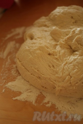 Поднявшееся тесто переложить на поверхность, присыпанную мукой.