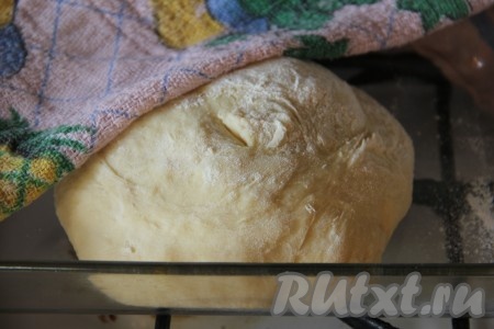 Для приготовления теста в глубокой миске растворить в тёплой воде дрожжи, сахар и соль. Температура воды должна быть не выше 40 градусов. Добавить растопленное сливочное масло (не горячее), остывшее картофельное пюре и сырое яйцо. Начать подсыпать частями муку, замешивая мягкое, податливое, не липнущее к ладоням тесто. Вымешивать тесто нужно не менее 5-7 минут. Оставить тесто в тёплом помещении, накрыв полотенцем, на 1-2 часа для подъёма (до увеличения в объёме, как минимум, в 2 раза).