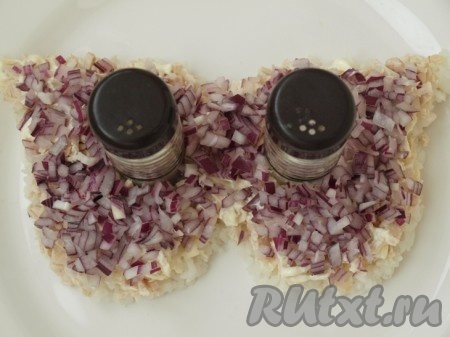 Курицу смазать майонезом и выложить сверху мелко нарезанный лук.
