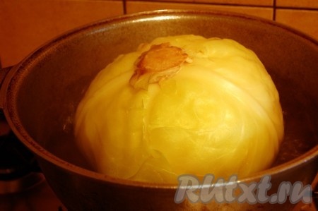 Взять большую кастрюлю, выложить в неё целиком кочан капусты, залить полностью горячей водой и поставить на достаточно сильный огонь. После закипания воды уменьшить огонь до ниже среднего.