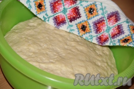 Тесто, увеличившееся вдвое, перекладываем на поверхность, припорошенную мукой, и хорошо его обминаем.
