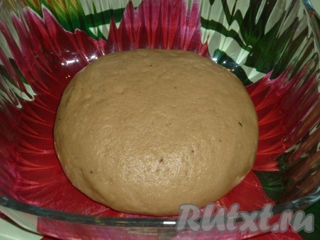 В муку со специями добавить яйцо и влить остывший сироп. Замесить гладкое тесто. Завернуть в пищевую плёнку и отправить на 1 час в холодильник.
