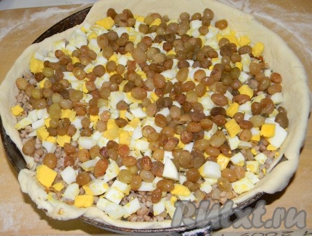 Сверху начинки положить слой изюма.
