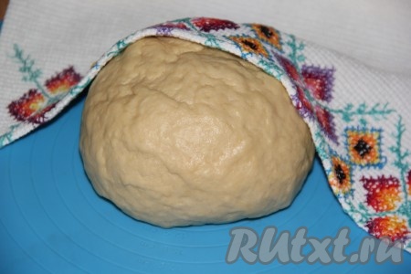 Для приготовления опары в тёплом молоке (температура молока должна быть около 40 градусов) развести дрожжи и сахар, оставить минут на 10-15 в тепле (до появления на поверхности пышной шапочки). Соединить в глубокой миске опару, яйцо, соль, тёплую воду (температура воды не должна быть выше 40 градусов), растительное масло, хорошо перемешать. Затем, частями всыпая просеянную муку, замесить нежное и мягкое тесто. Муки может потребоваться как немного больше, так и немного меньше, чем указано в ингредиентах, главное - понемногу добавляя и вмешивая муку, ориентируйтесь на консистенцию замешиваемого дрожжевого теста. Прикрыть тесто полотенцем и оставить в тепле на 1 час.