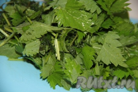 Крапиву обдать кипятком, затем промыть под проточной водой. Крапиву мелко нарезать, можно настричь крапиву ножницами.