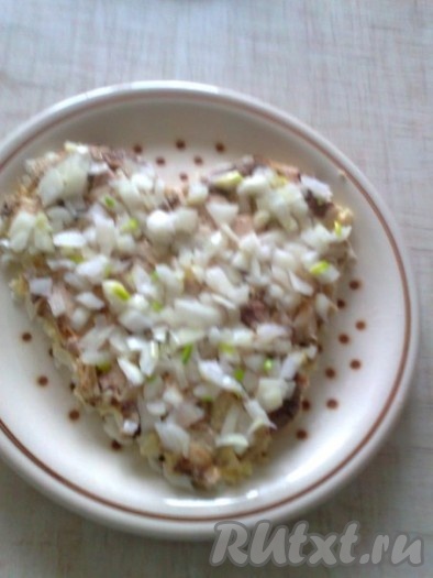 4 слой состоит из подготовленного лука.