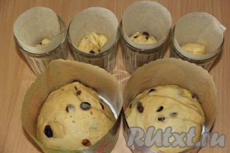Готовое тесто хорошо обмять и разложить по формам, заполняя их на 1/3 объёма. Я использовала бумажные формы для приготовления куличей и обычные стеклянные стаканы из толстого стекла. Стаканы выстелить пергаментной бумагой. Формы с тестом прикрыть полотенцем и оставить в тёплом, без сквозняков, месте на 1,5 часа.