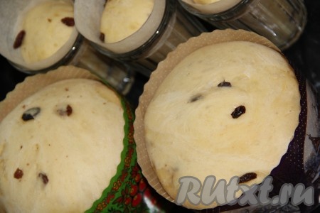  Тесто хорошо поднимется и практически заполнит весь объём формы. Поставить сдобные куличи в разогретую духовку и выпекать при 180 градусах примерно 35-40 минут.