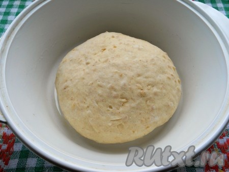 Выставить режим "Тесто" (у меня 1 час 30 минут). Если тесто замешивать руками, также залить гречневые хлопья теплым молоком, муку просеять в миску, сделать углубление. В углубление всыпать соль и сахар, добавить яйцо и растительное масло, дрожжи, чуть размешать. Далее добавлять по частям молоко с хлопьями, замешивая тесто. Тесто должно быть мягким, но упругим. Оставить тесто в теплом месте на 1 час для подхода. Готовое тесто немного обмять, сформировать колобок. Поместить тесто в форму для выпекания, смазанную немного растительным маслом.