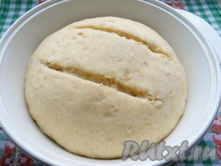 Накрыть форму чистым полотенцем и оставить тесто в тепле на 35-40 минут. После этого сделать пару надрезов острым ножом на подошедшем тесте.
