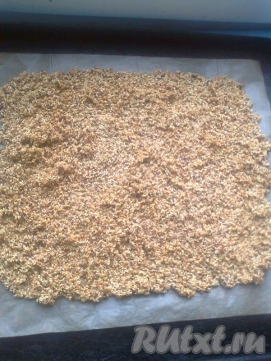 Всыпать кунжут в мёд и хорошо перемешать. Проварить получившуюся массу на среднем огне, обязательно помешивая,&nbsp; 5 минут, затем огонь уменьшить до минимума и варить еще 3-5 минут&nbsp; (до тех пор, пока кунжут не начнет коричневеть).&nbsp; Горячую&nbsp; смесь (осторожно, руками не трогать, можно обжечься!) с помощью ложки или лопатки быстро распределить ровным тонким слоем по пергаментной бумаге.
