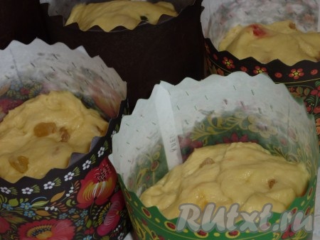 Формы для куличей, смазанные сливочным маслом, на 2/3 заполняем тестом и оставляем для подхода на 15-20 минут.