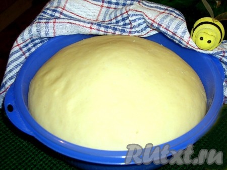 Дрожжевое медовое тесто