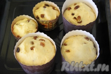 Поставить формы с тестом на противень для выпекания. Накрыть формы полотенцем и оставить их в тепле на 30 минут. Тесто увеличится в объёме и практически заполнит весь объём формы.