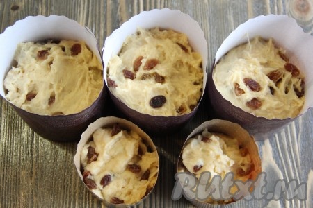 Затем разложить тесто по формам, заполняя их на 1/2 объёма. Я использовала бумажные формы для выпекания куличей.