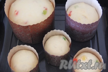 Поставить формы с тестом на противень для выпекания, прикрыть полотенцем и оставить на 1 час в тепле. 