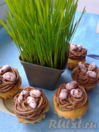 Наши вкусные, нарядные творожные кексы готовы.
