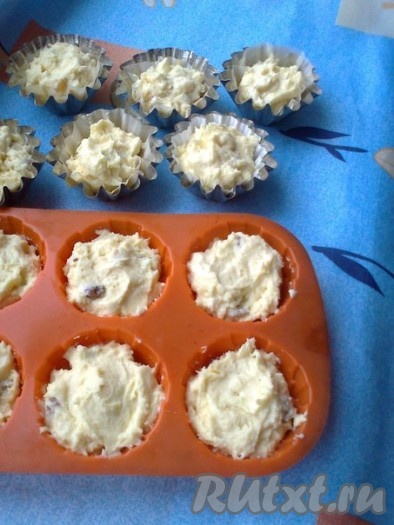 Разложить в бумажные формочки или силиконовые.