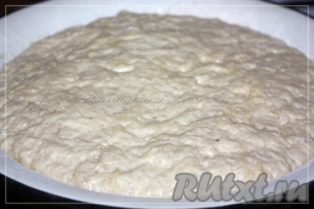 У меня за 1,5 часа поднялось 3 раза, уминала каждые 30 минут (не сильно).
