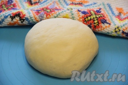  Дрожжевое тесто, поднявшееся в хлебопечке (или в миске) выложить на силиконовый коврик, хорошо обмять, прикрыть полотенцем и оставить на столе на 20 минут.
