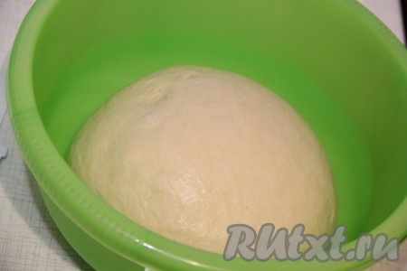 В 50 миллилитров тёплой воды (температура воды должна быть не выше 40 градусов) всыпать дрожжи и сахар, очень хорошо перемешать и оставить на 10-15 минут. По прошествии времени на поверхности должны появиться пузырьки. Затем в глубокую миску влить запенившуюся дрожжевую смесь, сыворотку комнатной температуры, растительное масло, добавить соль. Всыпать в миску половину просеянной муки. Перемешать и начать понемногу досыпать муку, постоянно вмешивая её в тесто. Замесить руками мягкое, нежное и гладкое тесто. Тесто не должно липнуть к рукам. Возможно, муки потребуется чуть больше или меньше, тут смотрите не на количество муки в рецепте, а на&nbsp; консистенцию замешиваемого теста. Оставить тесто в миске, накрыв её полотенцем (или пищевой плёнкой), в тёплом месте на 1,5 часа.