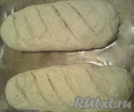 формируем батоны (можно раскатать тесто в прямоугольный пласт и свернуть рулетом), выкладываем на противень, застеленный бумагой для выпечки, смазанной подсолнечным маслом, накрываем и даем расстояться в течение 1-1,5 часов. 

Так батоны выглядят через 1 час.