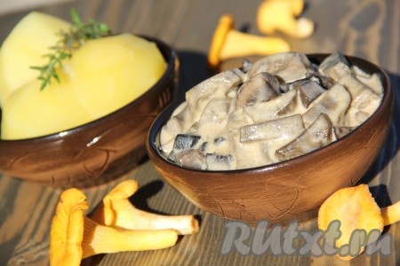 Вот такие грибы, приготовленные с сыром и сметаной, получились у меня.
