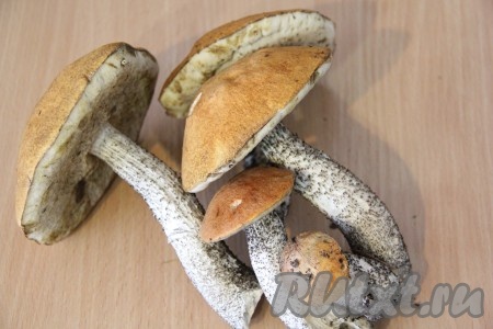 Для начала нужно собрать наши грибочки или ограничиться покупкой свежих грибов. Можно использовать свежие шампиньоны.