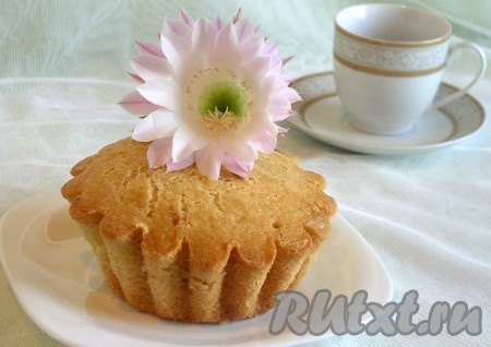 Ставим кексы в холодную духовку на самый маленький огонь (в источнике указывалось 150 градусов С, а градусника у меня нет. Ориентировалась по интуиции). Выпекать 1,5-2 часа. Маленькие были готовы через 1,5 часа. Готовность проверить шпажкой. Остудить кексы. Вынуть из формы. Завернуть в пергамент или пищевую пленку и выдержать сутки. Посыпать сахарной пудрой или полить глазурью. Но можно и оставить так. Очень ароматно и вкусно. Кекс получается не приторный, влажноватый, рассыпчатый. В мелких формочках суше, конечно, чем в больших. Удивляет его светлый мягкий тон, аромат и вкус. Кекс "Белоснежка" готов.