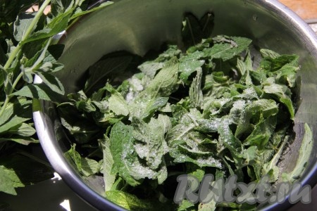 Мяту промыть, обсушить и засыпать сахаром. Измельчить мяту блендером.
