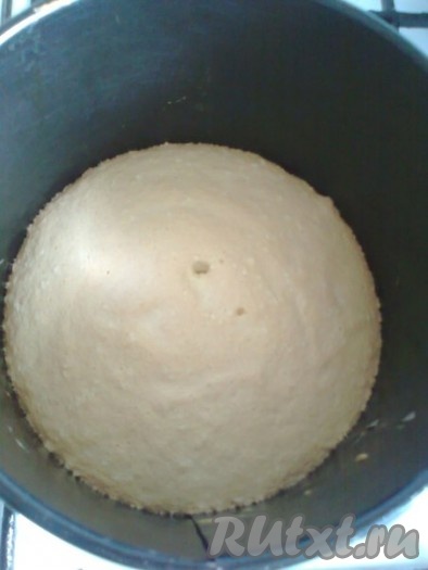 Дно разъемной формы для торта застилаем пергаментом, бока не смазываем, чтобы бисквит держался за стенки и не выпал при бросании. Перекладываем тесто в форму. Прокручиваем форму по часовой стрелке 3 раза, чтобы тесто хорошо схватилось со стенками формы, или можно просто разровнять тесто от центра к краям формы. Ставим форму с тестом в разогретую духовку и печем, пока воткнутая в середине зубочистка не будет выходить сухой и чистой, около 35-40 минут.