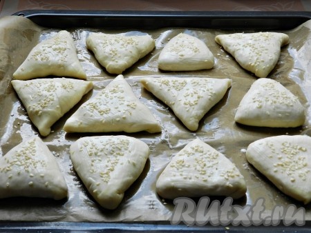 Противень застелить промасленной бумагой для выпечки. Выложить пирожки с мясом швом вниз на расстоянии друг от друга. Смазать пирожки кефиром, посыпать кунжутом и поставить в разогретую до 200 градусов духовку на 30-35 минут.
