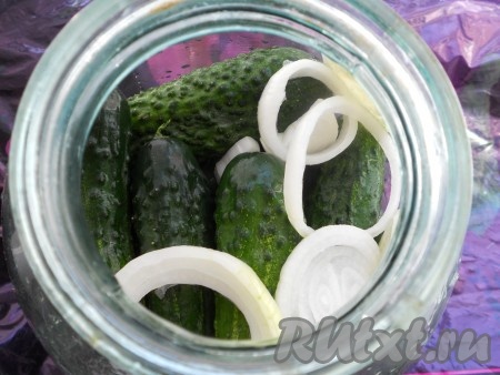 Лук очистить, нарезать на колечки. Огурцы вымыть и заполнить ими банку. Между огурцов поместить по несколько колечек репчатого лука.