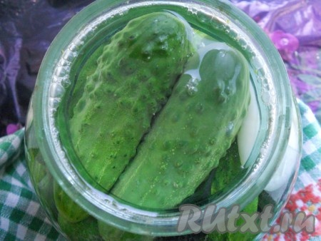 В банку с огурцами и луком влить кипящую воду, накрыть крышкой, оставить на 15 минут.