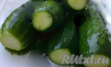 Огурцы, листья хрена и смородины, веточки укропа вымыть. У огурцов срезать кончики с двух сторон.
