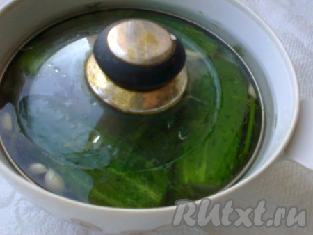 Сверху накрыть подходящей крышкой так, чтобы огурчики были полностью в рассоле. Если такой крышки нет, поверх огурцов нужно выложить тарелку, а сверху на тарелочку поставить груз (например, банку с водой) так, чтобы все огурцы были покрыты рассолом.