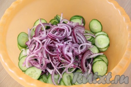 Красный лук очистить, укроп вымыть и обсушить. Лук нарезать тонкими полукольцами и добавить к огурцам. Посолить салат по вкусу и тщательно перемешать. Накрыть миску пищевой плёнкой и поставить в холодильник на 1-2 часа.