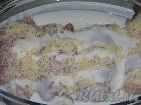 Приготовить соус, для этого в кефир добавить немного соли и специй, перемешать. Залить кефирным соусом куриные рулетики с грибной начинкой, сверху равномерно присыпать 30 граммами сыра, натёртого на крупной тёрке.