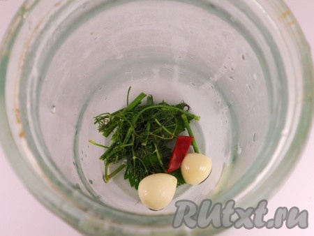 Банки хорошо вымыть и простерилизовать вместе с крышками. На дно каждой банки поместить укроп, горький перец, чеснок, листья черной смородины, предварительно окунув их в маринад.
