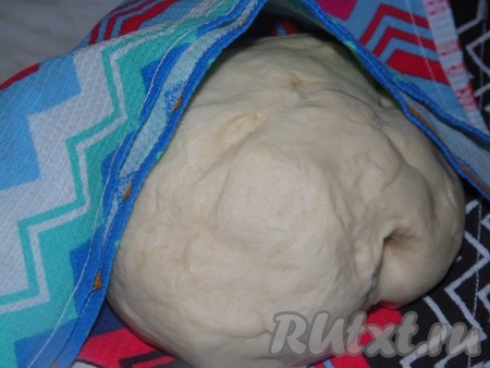 В тёплом молоке развести дрожжи (для расстойки оставлять не надо), добавить растительное масло, сахарный песок, соль. Добавляя небольшими порциями просеянную муку, замесить мягкое, не липнущие к рукам тесто, убрать его в тёплое место, накрыв или пищевой плёнкой, или влажным полотенцем, часа на 1,5 и более. Тесто должно увеличиться в два раза и более.