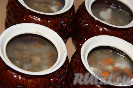 Разложить смесь из перловки, курицы и овощей по горшочкам, заполняя их на 1/3 объёма. Залить горшочки кипятком, чтобы вода закрывала крупу на 1,5 см. Накрыть крышками и поставить в разогретую духовку. Готовить при 200 градусах 1-1,5 часа.